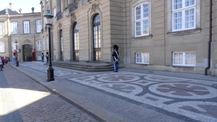 Amalienborg Palace Guard 2